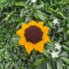 Sunflower Keychain